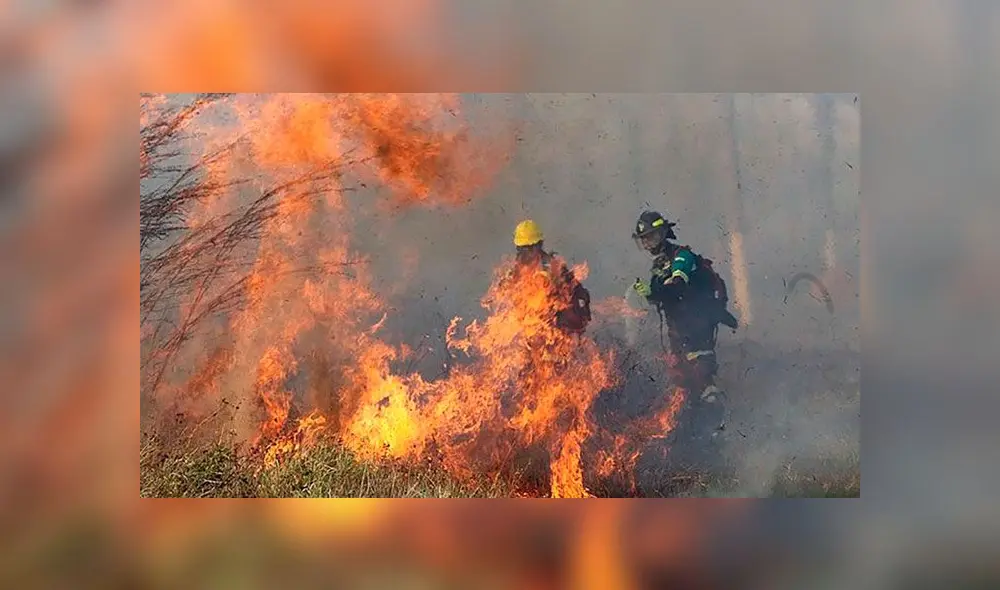 La región boliviana de Santa Cruz ha sido gravemente afectada por los incendios. Foto: AFP. La región boliviana de Santa Cruz ha sido gravemente afectada por los incendios. Foto: AFP.