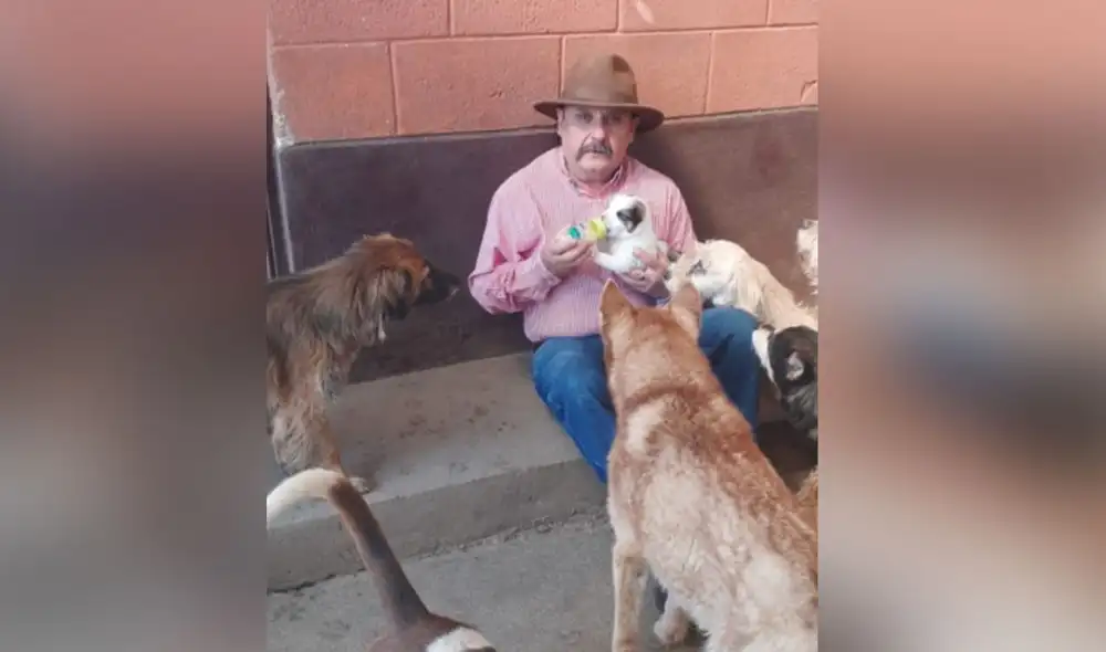Desliza las imágenes para conocer más sobre este acto de nobleza hacia los perritos que viven en la calle. Foto: Facebook
