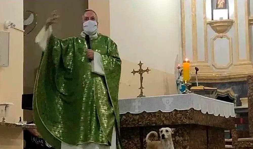 Desliza las imágenes para ver la destacada labor del sacerdote con perritos de la calle. Foto: Facebook