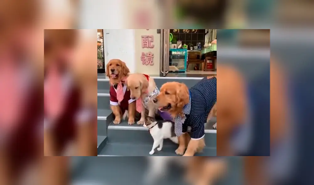 Desliza la imagen de Facebook para verlas todas. Desliza la imagen de Facebook para verlas todas.