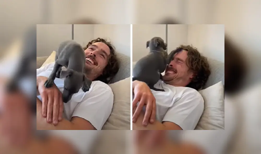 Desliza para ver más detalles sobre esta escena que se ha robado el corazón de miles en YouTube.