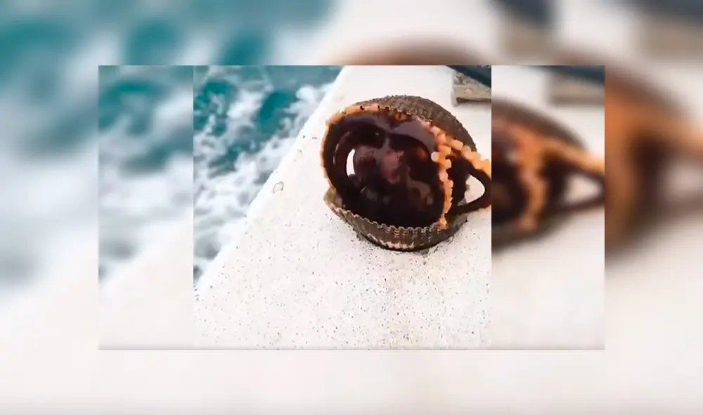 En Facebook, un hombre navegaba por una bahía en Japón cuando de pronto vio que una ‘misteriosa criatura’ salió de la almeja.