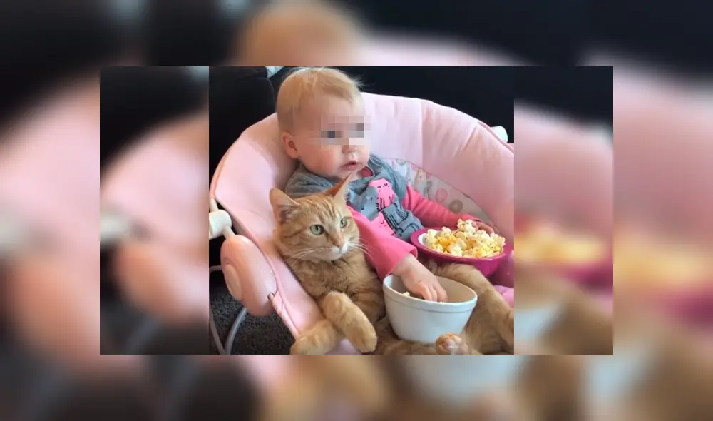 Desliza las imágenes hacia la izquierda para apreciar la emotiva escena que protagonizaron una bebé junto a su gato.