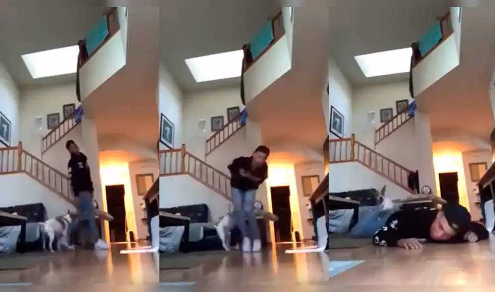 Facebook viral: Perro vio a su dueño "muerto" y tuvo una reacción insólita [VIDEO]