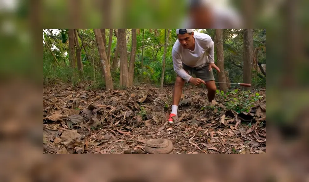 En YouTube se hizo viral la arriesgada expedición para encontrar a una de las serpientes más letales del mundo. En YouTube se hizo viral la arriesgada expedición para encontrar a una de las serpientes más letales del mundo.