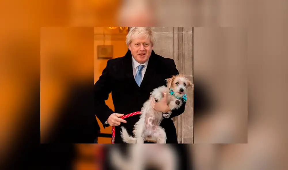 Boris Johnson y su mascota Dilyn.