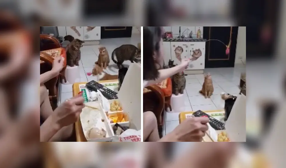 Desliza las imágenes para ver más sobre esta escena que es viral en YouTube. Desliza las imágenes para ver más sobre esta escena que es viral en YouTube.