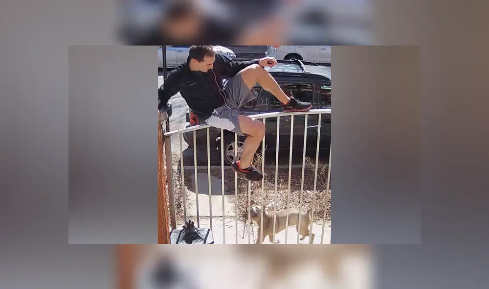 Desliza hacia la izquierda para ver imágenes de YouTube de la osada reacción del hombre que se enfrentó con un pitbull. Desliza hacia la izquierda para ver imágenes de YouTube de la osada reacción del hombre que se enfrentó con un pitbull.