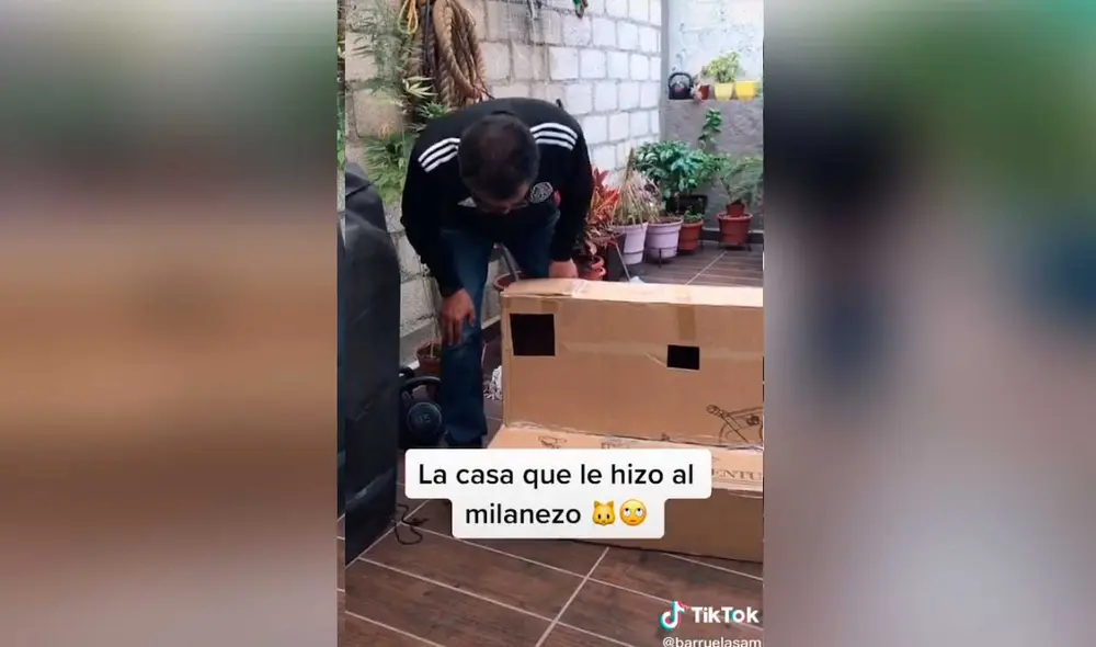 Desliza las imágenes para ver la curiosa escena que protagonizó este padre de familia con su nueva mascota.  Foto: Captura de TikTok/ barruelasam