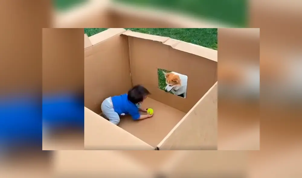 Desliza las imágenes para apreciar el conmovedor momento entre un bebé junto a su adorada mascota.