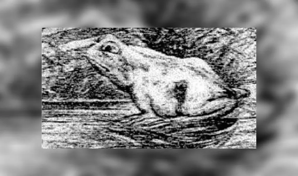 Desliza las imágenes hacia la izquierda para conocer la respuesta correcta del reciente ‘challenge’ de Facebook. Foto: Milenio. Desliza las imágenes hacia la izquierda para conocer la respuesta correcta del reciente ‘challenge’ de Facebook. Foto: Milenio.