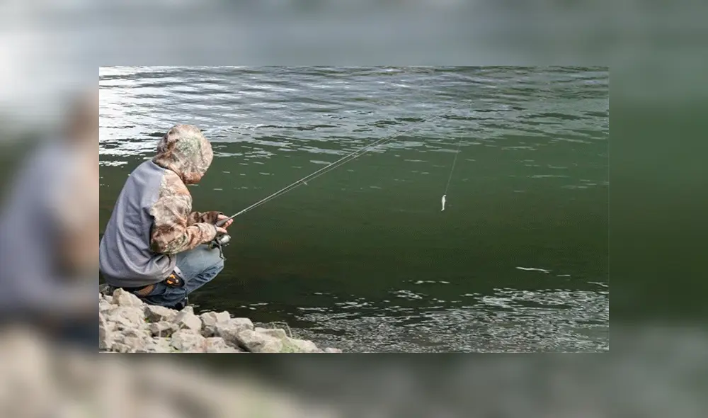 Pescado retira anzuelo de lago, sin sospechar que atraparía a letal criatura devorando a pez [VIDEO]