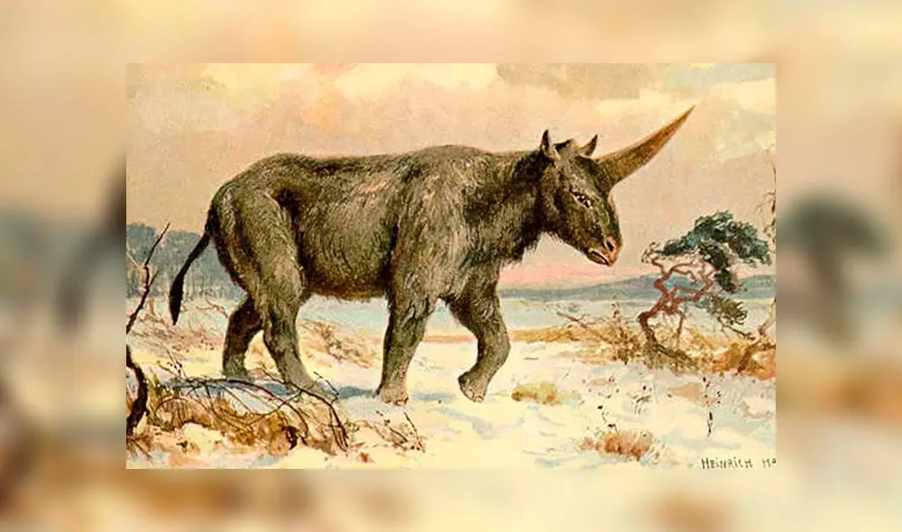 Ilustración de unicornio siberiano, realizada por Heinrich Harder en 1920. Ilustración de unicornio siberiano, realizada por Heinrich Harder en 1920.