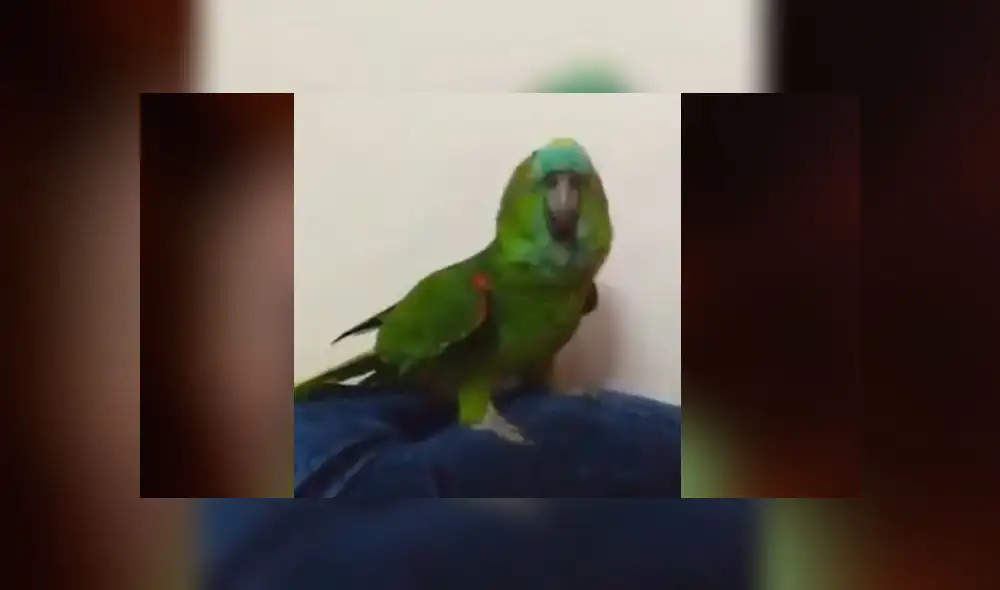 Desliza las imágenes para ver todos los detalles de este viral publicado en redes sociales.Foto: Ale Alcocer/facebook Desliza las imágenes para ver todos los detalles de este viral publicado en redes sociales.Foto: Ale Alcocer/facebook