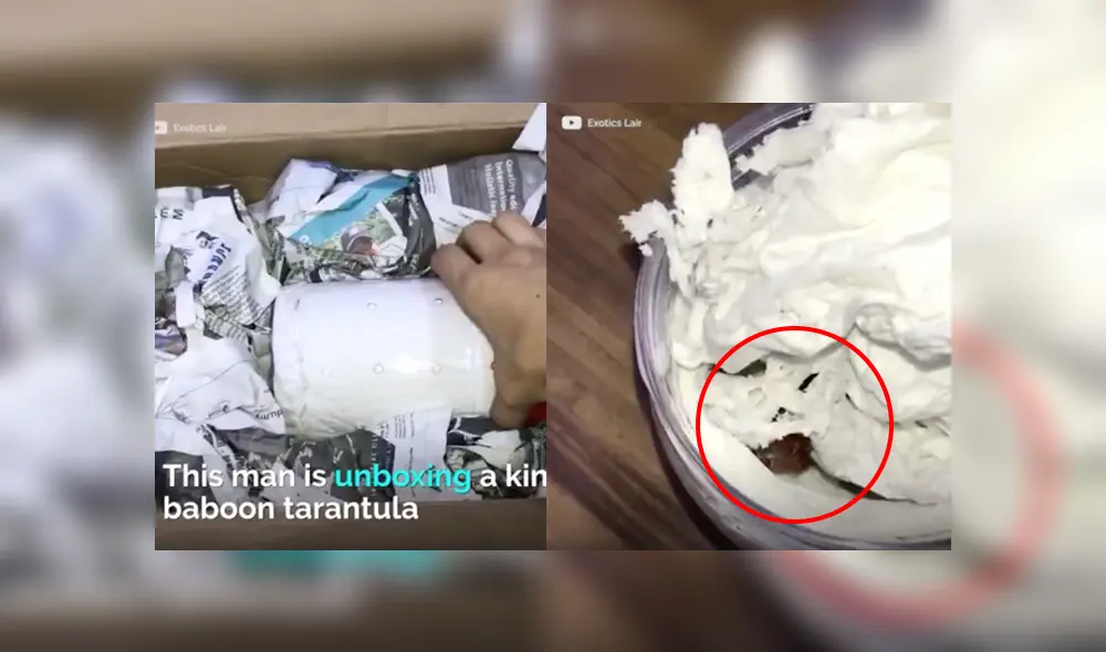 Desliza a la izquierda para conocer más sobre este terrorífico descubrimiento que ahora es viral en YouTube. Foto: Captura.