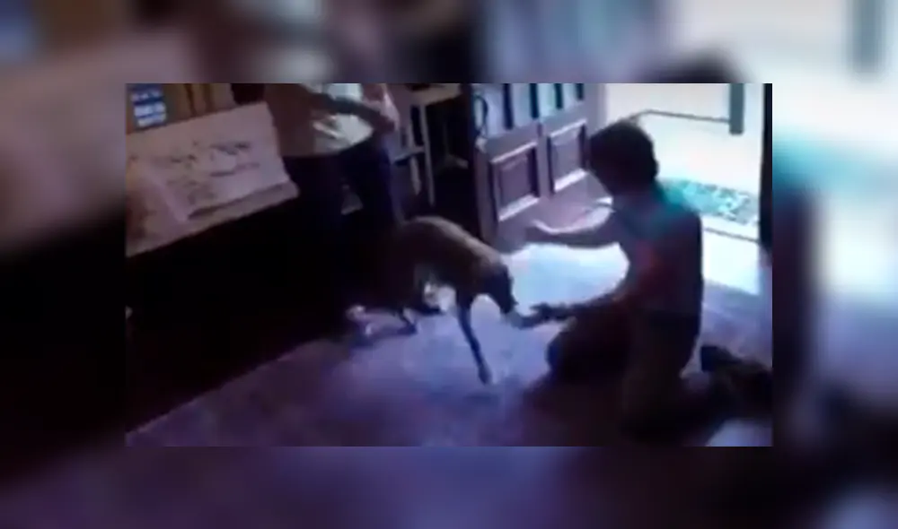 Desliza hacia la izquierda para ver el conmovedor reencuentro en Facebook de una astronauta con su perro. Desliza hacia la izquierda para ver el conmovedor reencuentro en Facebook de una astronauta con su perro.