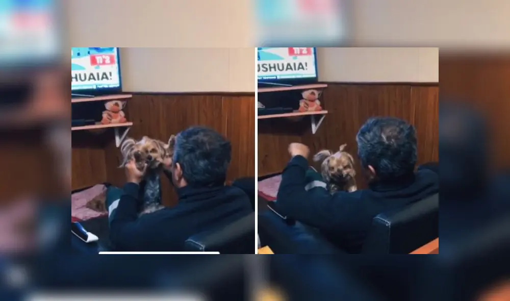 Desliza las imágenes para ver más sobre esta tierna escena. (Foto: captura? Desliza las imágenes para ver más sobre esta tierna escena. (Foto: captura?