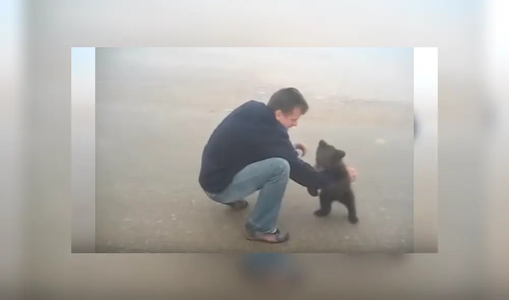 Video es viral en Facebook. El pequeño animal se aferró a la pierna del hombre que lo rescató y protagonizó una conmovedora escena Video es viral en Facebook. El pequeño animal se aferró a la pierna del hombre que lo rescató y protagonizó una conmovedora escena