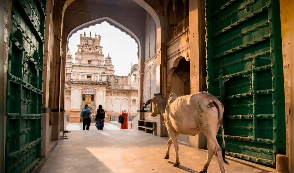 Paisajes, colores y fenómenos únicos: postales de ensueño en el certamen de National Geographic [FOTOS]