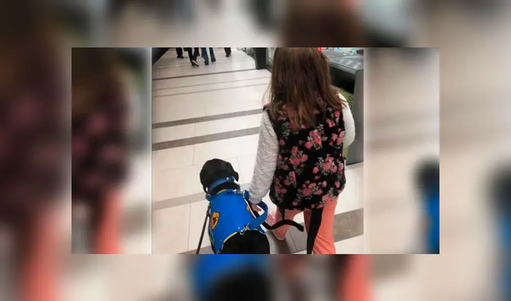 Restaurante expulsa a niña con autismo que ingresó con su perro guía