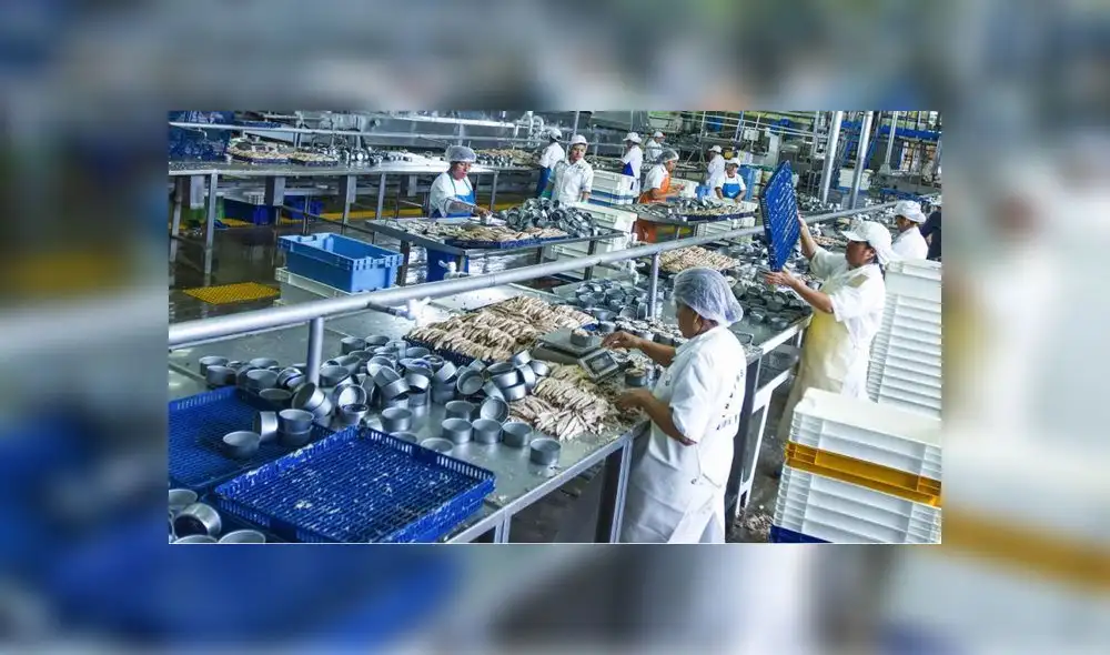 conservacion pescado