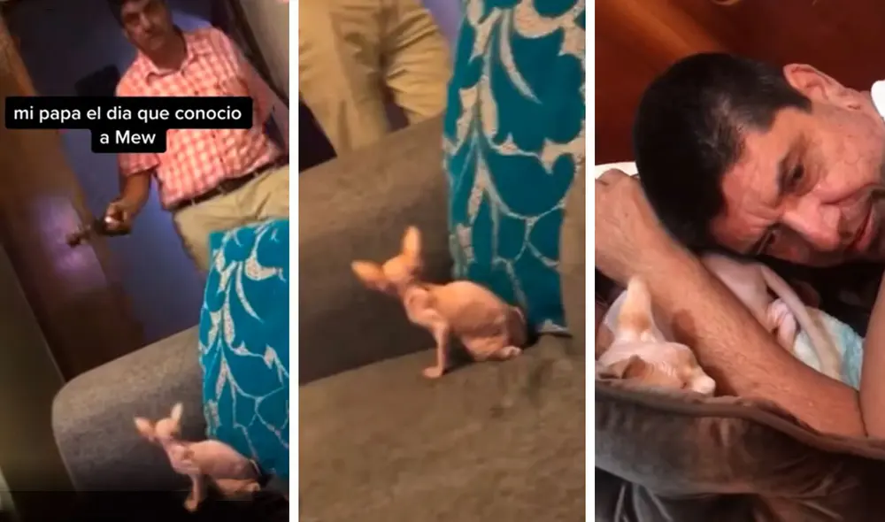 Desliza las imágenes para conocer la reacción de un padre al conocer a la nueva mascota de su hija. Foto: Captura de Facebook Desliza las imágenes para conocer la reacción de un padre al conocer a la nueva mascota de su hija. Foto: Captura de Facebook