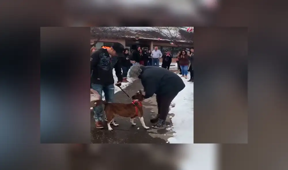 Desliza para ver los momentos más tiernos del video que se hizo viral en Facebook. Desliza para ver los momentos más tiernos del video que se hizo viral en Facebook.