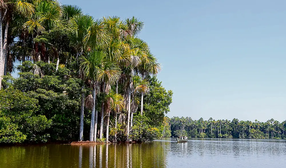 cambio. Reserva de Tambopata viene recobrando su belleza. foto difusion cambio. Reserva de Tambopata viene recobrando su belleza. foto difusion