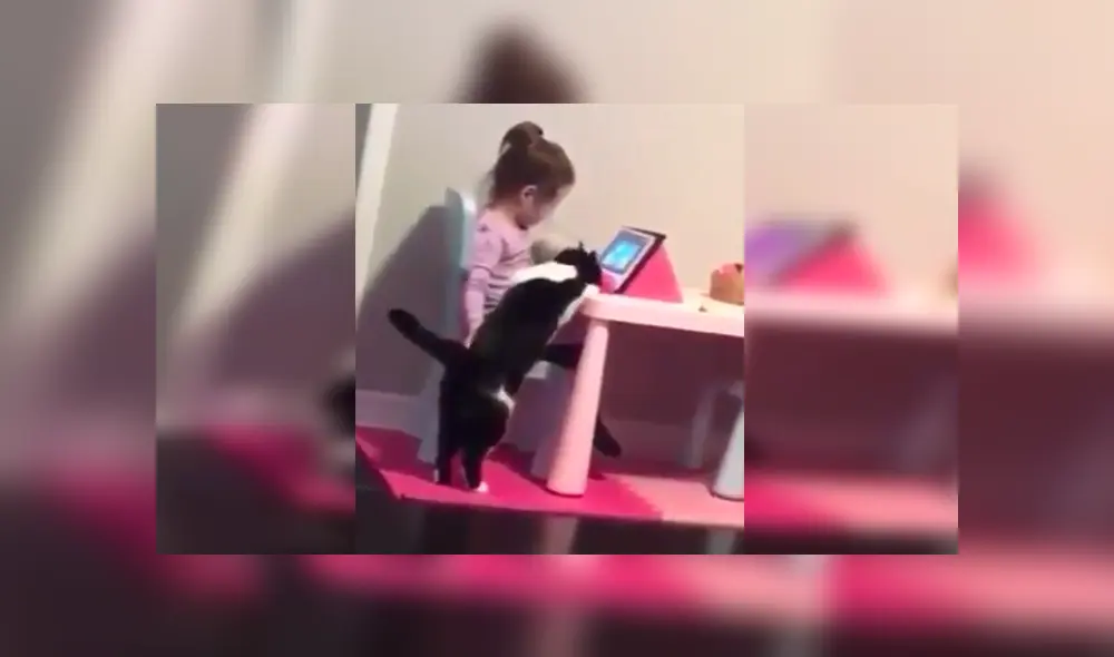 En YouTube, un señor instaló una cámara de seguridad para vigilar a su menor hija y se llevó emotiva sorpresa. En YouTube, un señor instaló una cámara de seguridad para vigilar a su menor hija y se llevó emotiva sorpresa.