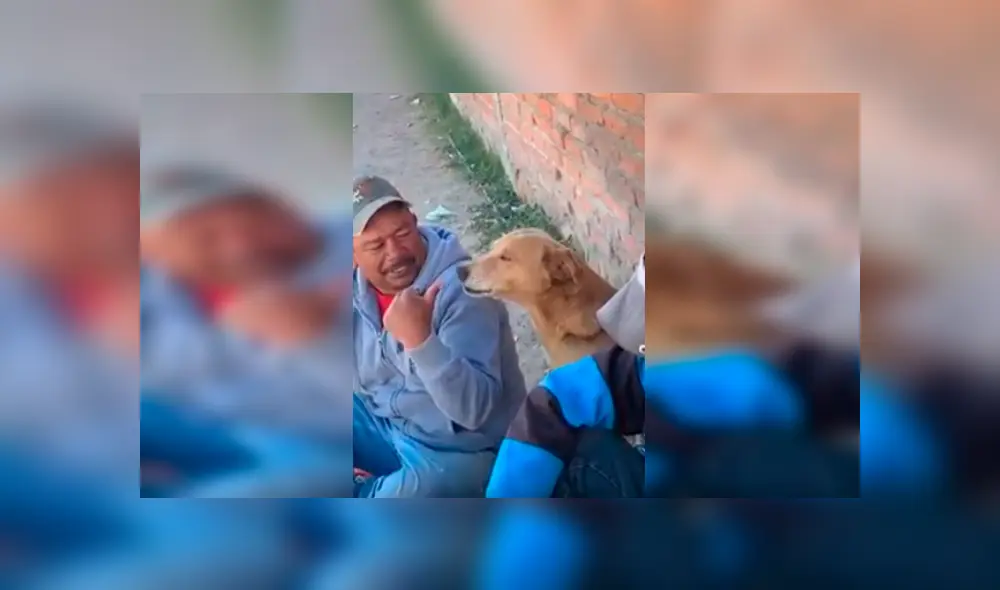 En Facebook, un perro acompañó a unos sujetos que escuchaban música y tomaban bebidas alcohólicas. En Facebook, un perro acompañó a unos sujetos que escuchaban música y tomaban bebidas alcohólicas.