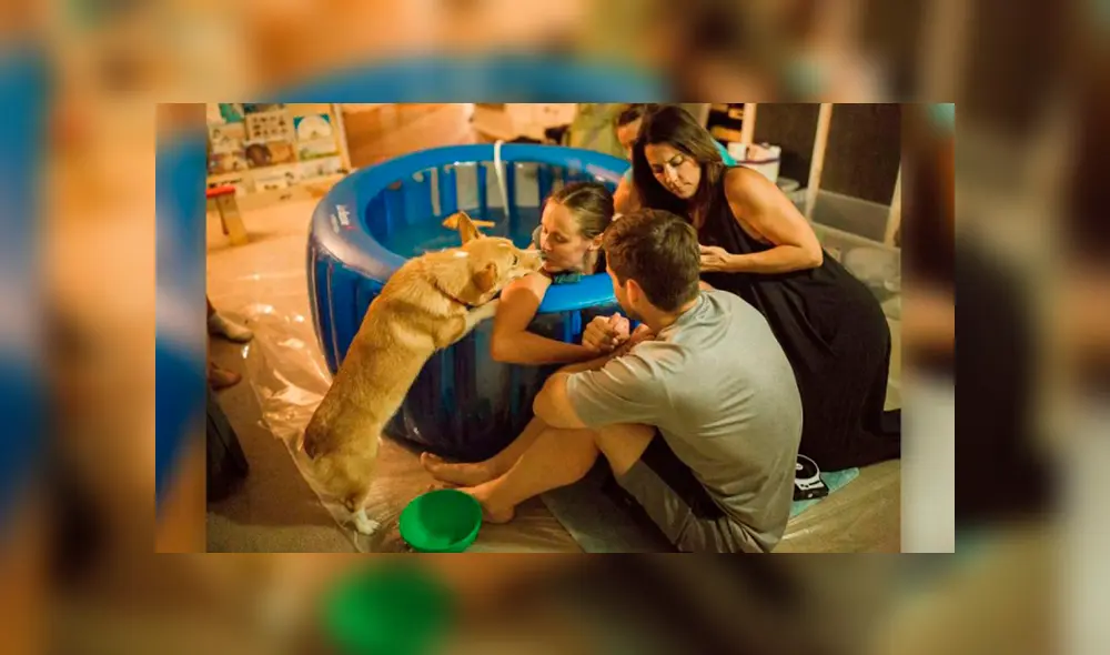 Desliza las imágenes para apreciar el conmovedor momento que registró una fotógrafa de un perro con su dueña. Desliza las imágenes para apreciar el conmovedor momento que registró una fotógrafa de un perro con su dueña.