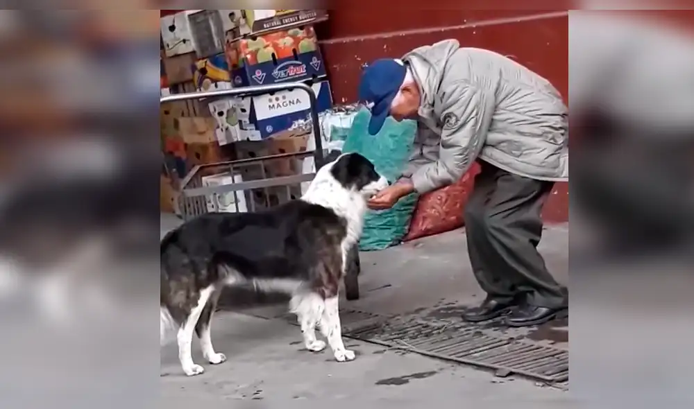 Facebook: conmovedor gesto de un anciano con un perro sediento ha impactado en las redes [VIDEO]