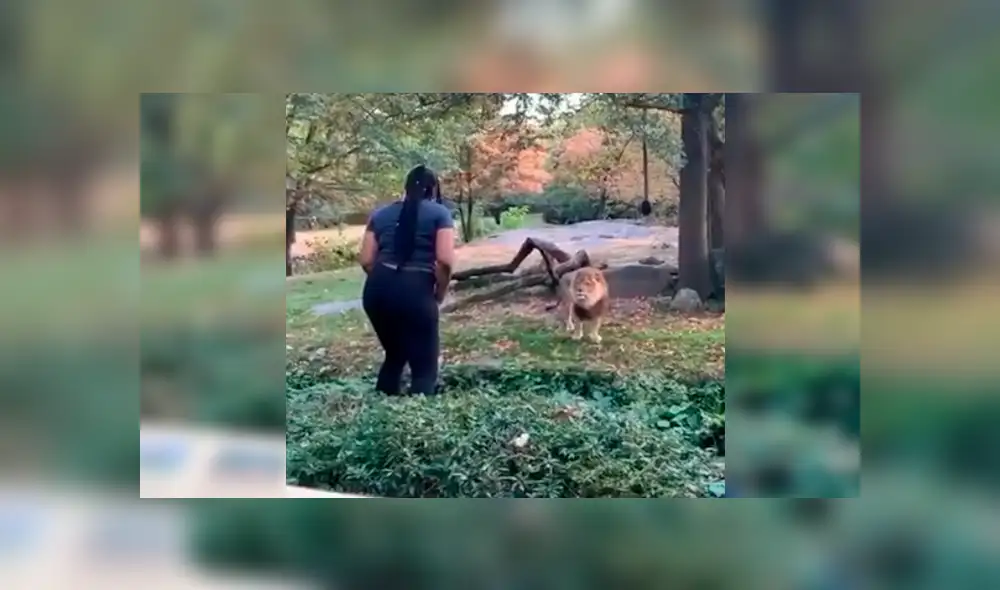En Facebook, una mujer visitó un zoológico y tuvo una acción imprudente al ingresar a un santuario de leones. En Facebook, una mujer visitó un zoológico y tuvo una acción imprudente al ingresar a un santuario de leones.