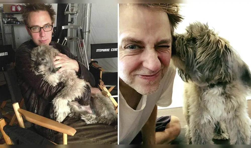 James Gunn usó su cuenta de Instagram para despedirse de su perro que lo acompañó por 17 años - Fuente: difusión James Gunn usó su cuenta de Instagram para despedirse de su perro que lo acompañó por 17 años - Fuente: difusión
