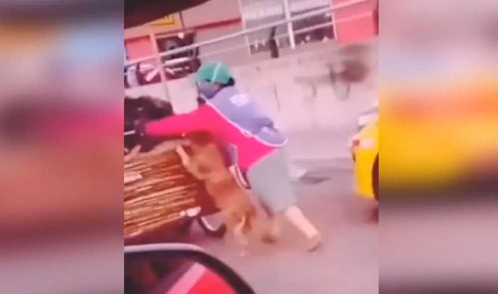 Desliza las imágenes para apreciar la emotiva escena entre una señora junto a su perro que la acompaña en su trabajo. Foto: captura de TikTok Desliza las imágenes para apreciar la emotiva escena entre una señora junto a su perro que la acompaña en su trabajo. Foto: captura de TikTok