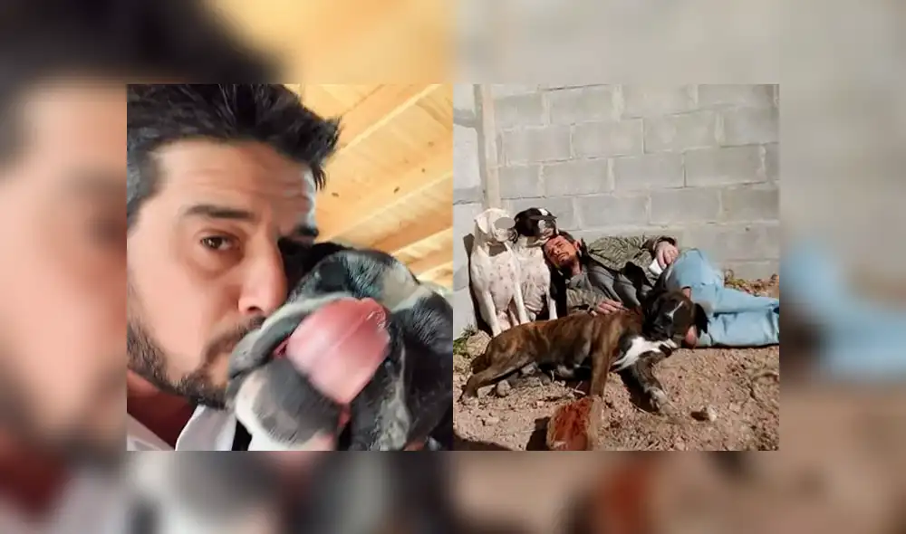 "Eran y seguirán siendo mis hijos", señaló una de las víctimas de asalto. Además asegura que las pérdidas materiales no se comparan con la muerte de sus mascotas. (Foto: composición) "Eran y seguirán siendo mis hijos", señaló una de las víctimas de asalto. Además asegura que las pérdidas materiales no se comparan con la muerte de sus mascotas. (Foto: composición)