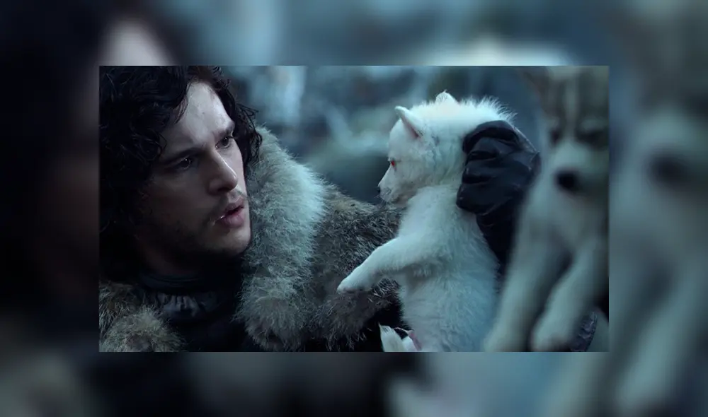 ¿Es Game of Thrones responsable del abandono masivo de perros Huskies en el Reino Unido?
