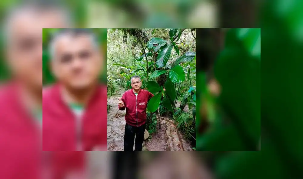 La quina contra el coronavirus: científicos peruanos impulsan nuevo fármaco a base de este árbol [FOTOS]