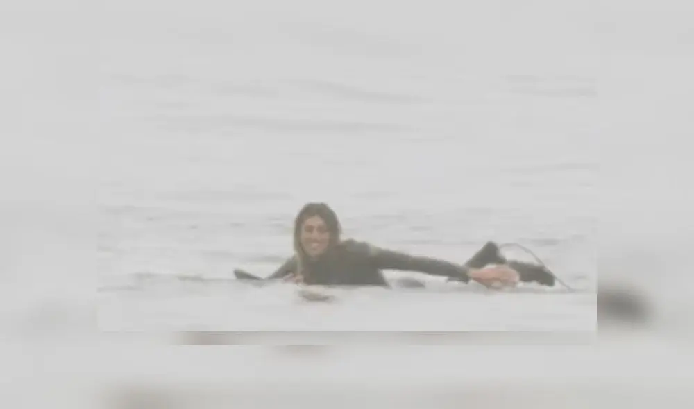 Joven practicaba surf en el agua cuando una foca aparece saltando y lo asusta [VIDEO]