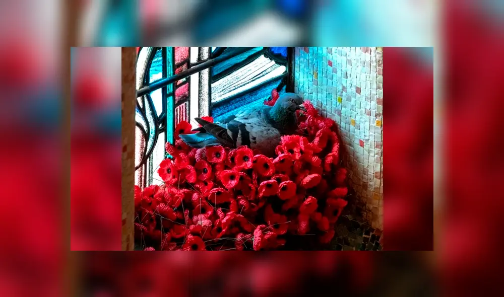 Desliza para ver todas las imágenes de Facebook. Foto: captura.