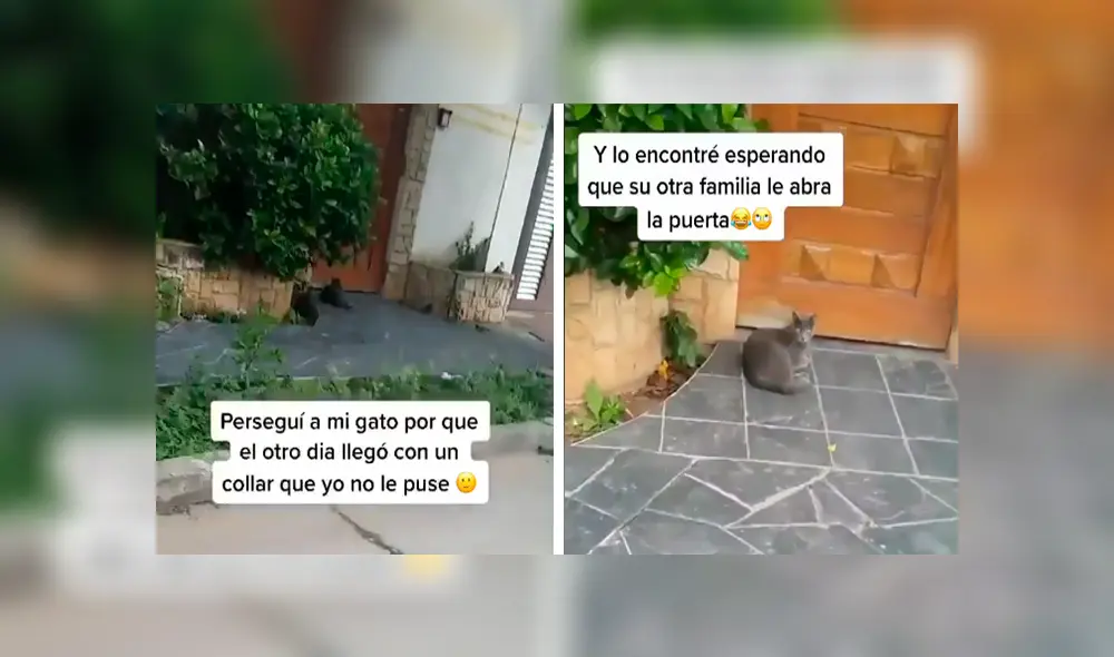 Desliza las imágenes hacia la izquierda para conocer la historia de un travieso gato que tenía una ‘doble vida’. Fotocaptura: Facebook.