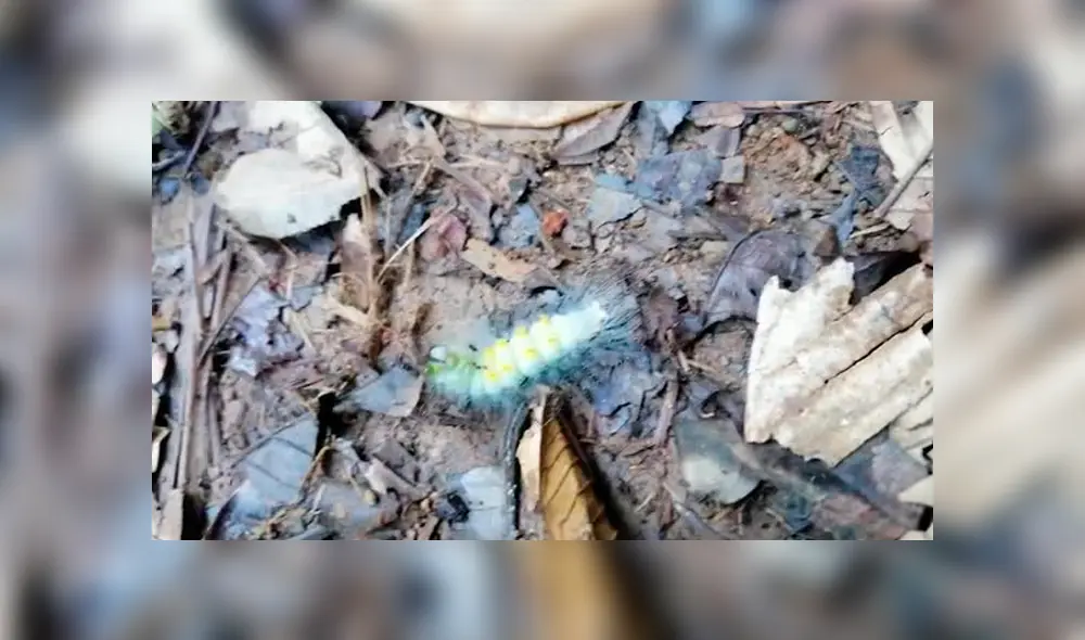 Desliza para ver los detalles del video viral de Facebook. Foto: Captura. Desliza para ver los detalles del video viral de Facebook. Foto: Captura.