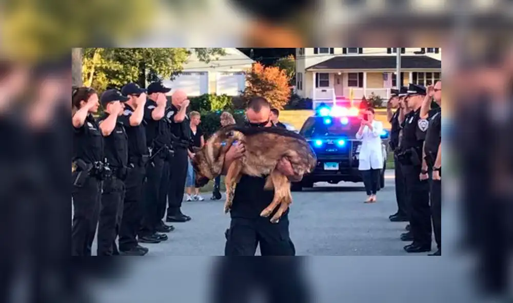 Facebook: la conmovedora despedida a Hunter, un perro policía con cáncer terminal [FOTOS]