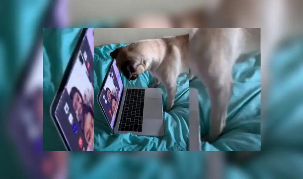 Desliza hacia la izquierda para ver más del video viral. Desliza hacia la izquierda para ver más del video viral.