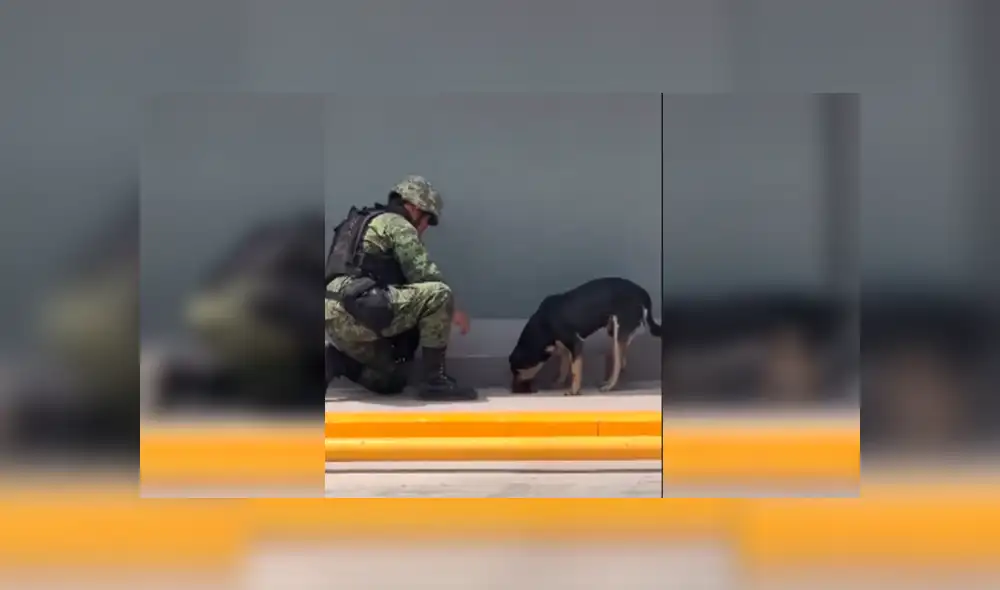 Desliza las imágenes para observar la admirable acción del agente policial para brindar ayuda a un perro callejero. Desliza las imágenes para observar la admirable acción del agente policial para brindar ayuda a un perro callejero.