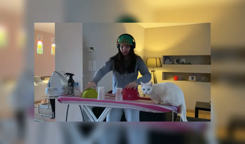 A través de YouTube se hizo viral la insólita reacción de un gato al escuchar el sonido de una plancha de ropa.