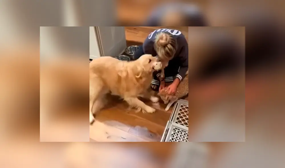 Desliza para ver los momentos más divertidos del video que se hizo viral en YouTube. Desliza para ver los momentos más divertidos del video que se hizo viral en YouTube.