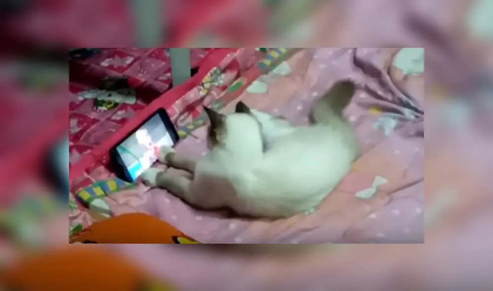 Desliza hacia la izquierda para ver más del video viral Desliza hacia la izquierda para ver más del video viral