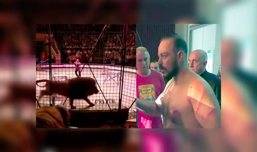 León se rebela contra su domador y lo ataca en plena función de circo [VIDEO]