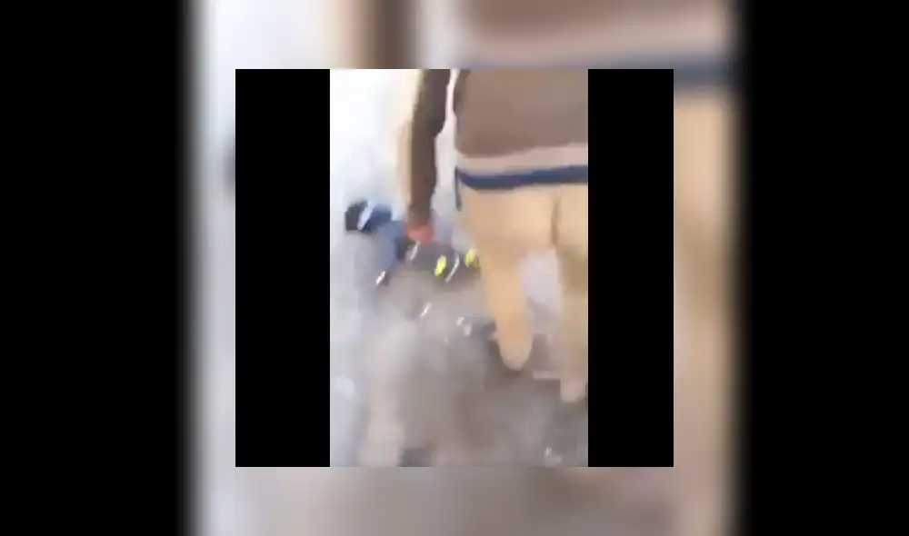 YouTube viral: oveja da su merecido a pequeño hombre ebrio que la molestaba [VIDEO]